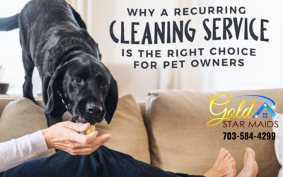 A Recurring Cleaning Service for Pet Owners
