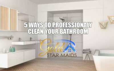 5 Ways to Profesionally Clean Your Bathroom