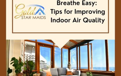 Breathe Easy: Tips for Improving Indoor Air Quality