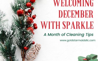Welcoming December with Sparkle: A Month of Cleaning Tips
